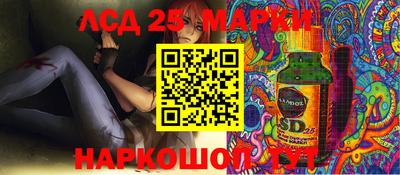 PSILOCYBIN Пугачёв