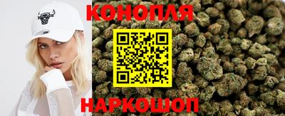 PSILOCYBIN Пугачёв