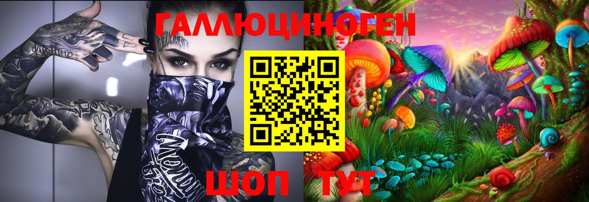 Псилоцибиновые грибы GOLDEN TEACHER Подольск