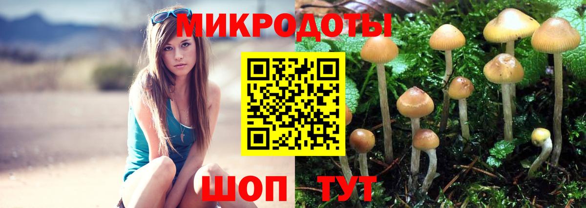 Псилоцибиновые грибы Psilocybine cubensis  Галлюциногенные грибы Psilocybe  Подольск  Вход с VPN 